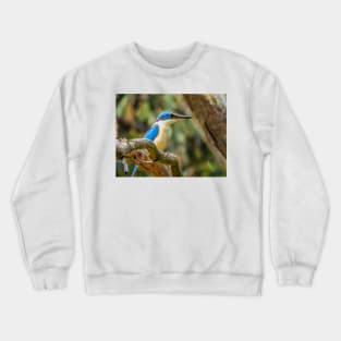 Sacred Kingfisher in my garden Crewneck Sweatshirt